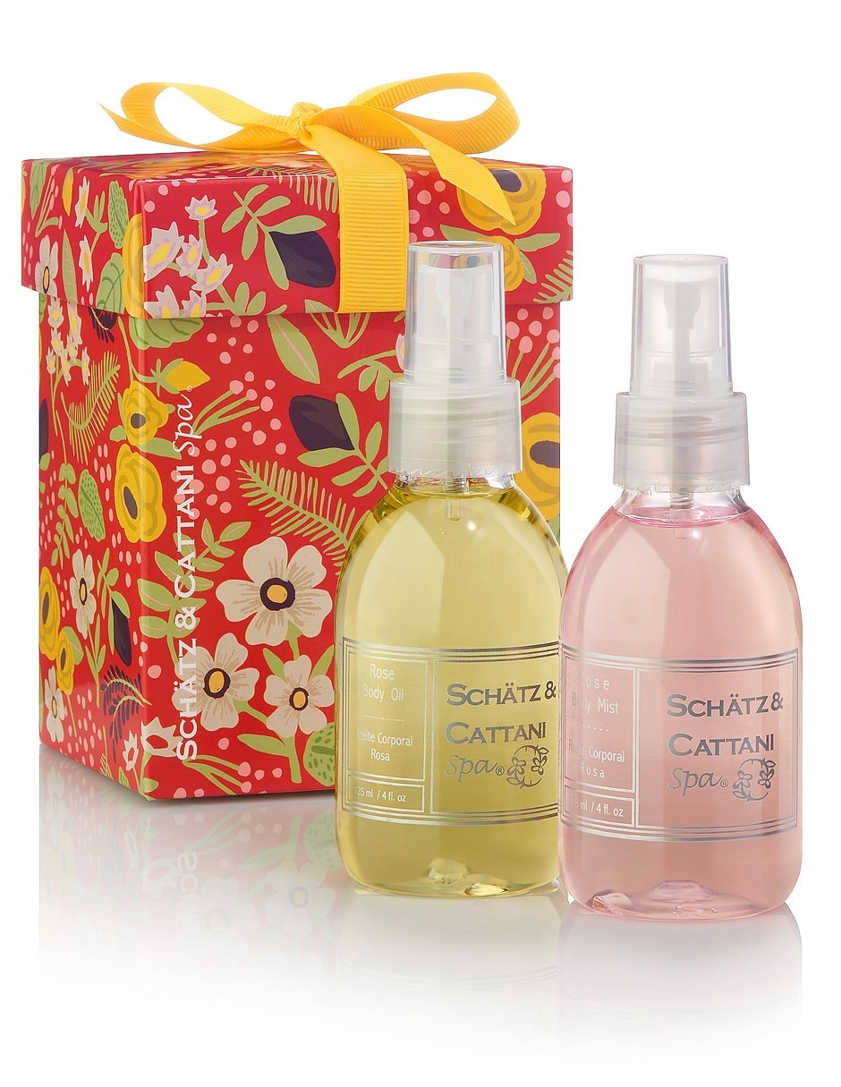 Set bath & body para limpiar 2 piezas Set bath & body para limpiar 2 piezas