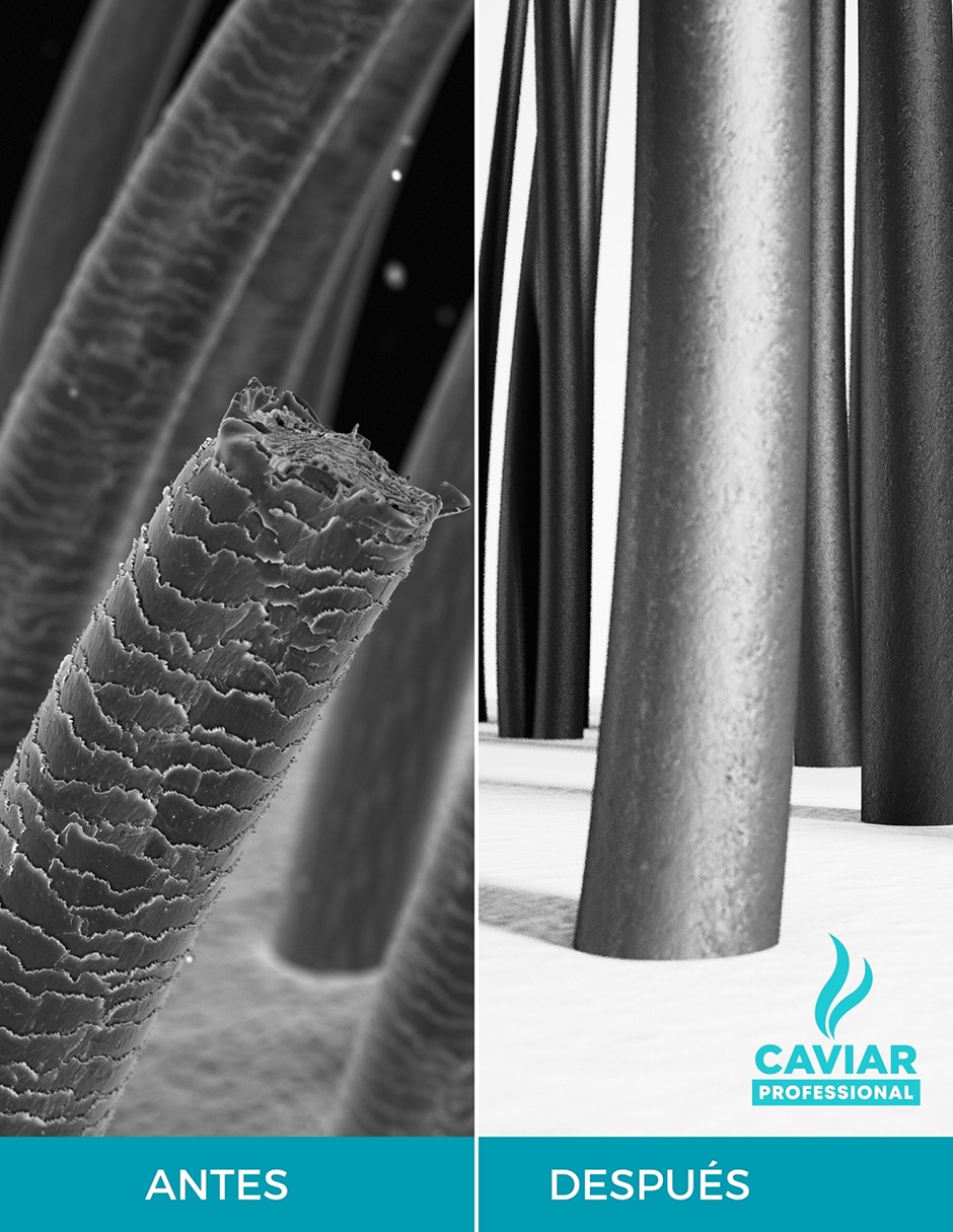 Tratamiento capilar reparador Caviar