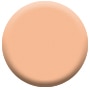 Cameo 2