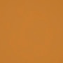 MEDIO BRONCEADO 1