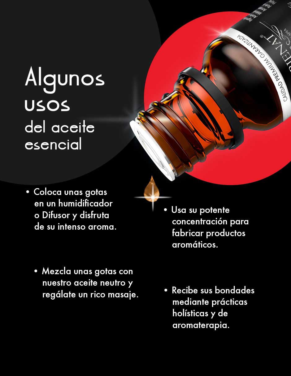 Infusión Bienat de canela