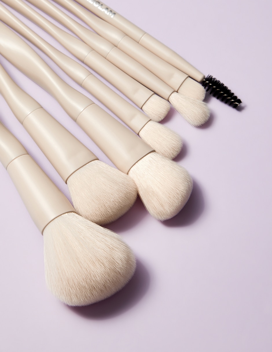 Set de brochas Pro Core 2