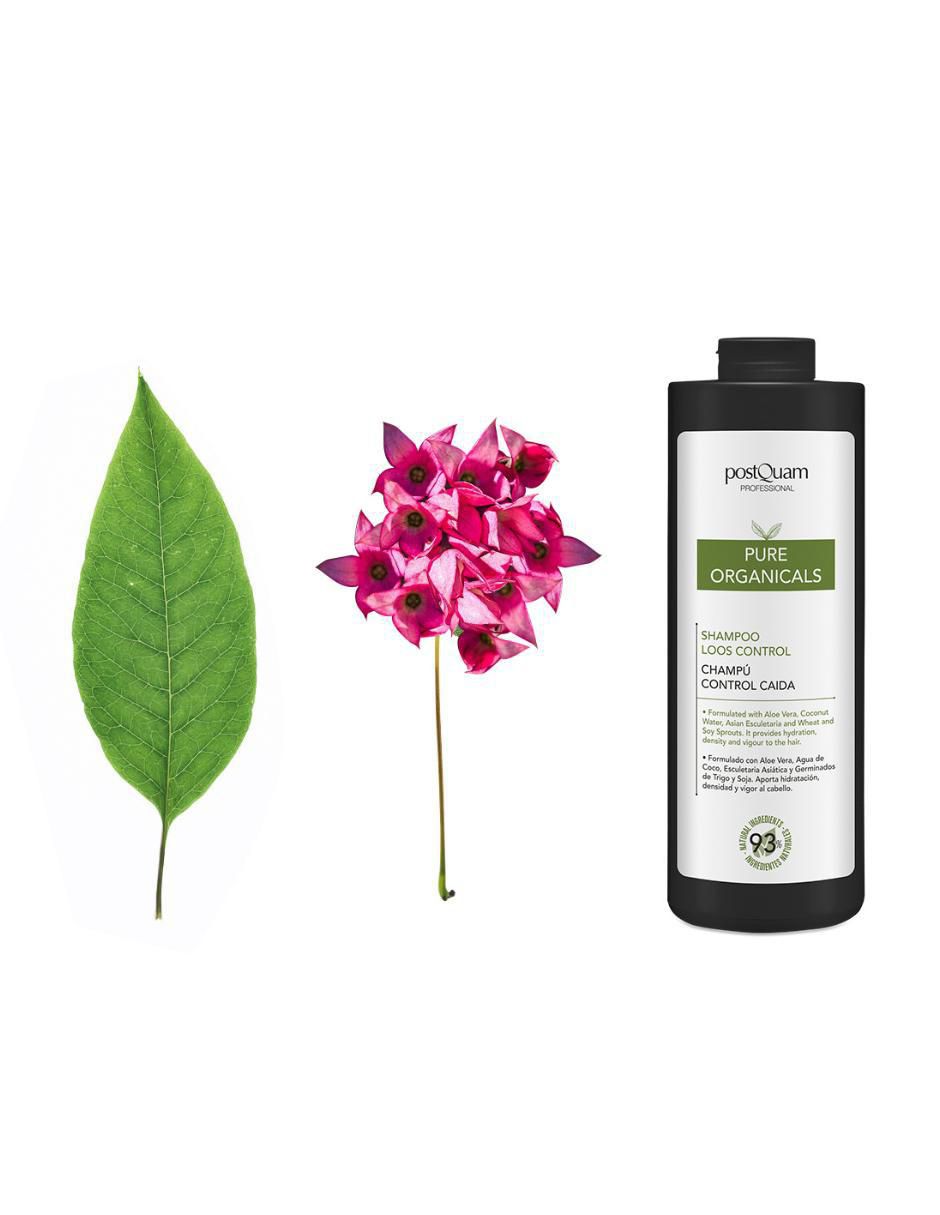 Shampoo para cabello Organicals Postquam