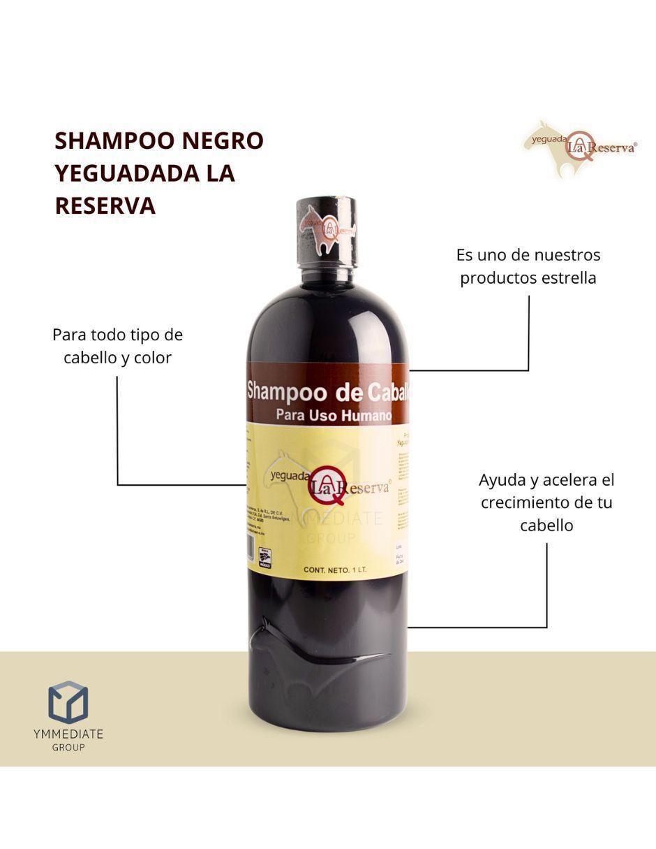 Shampoo para cabello 1 L 2