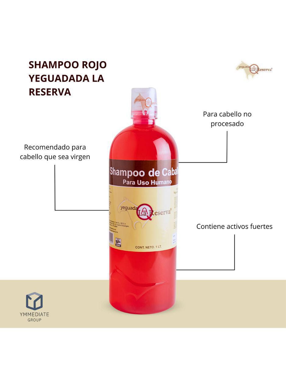 Shampoo anticaída para cabello Fuerza y Crecimiento 1 L 2