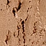 BRONCEADO 4