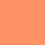 Coral 3