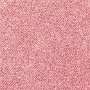 Rosa 7