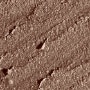 05 GOLDEN BROWN 4