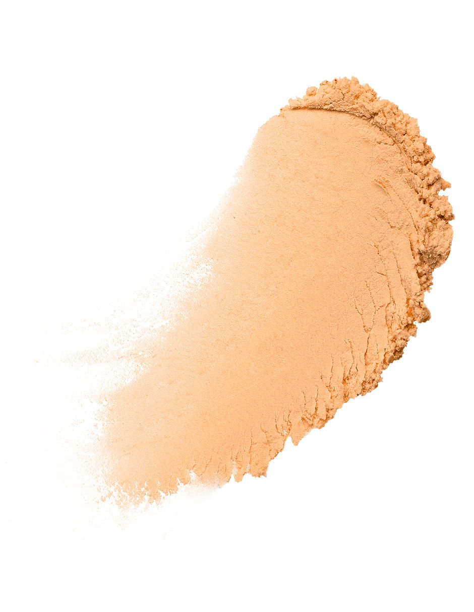 Polvo fijador Professional Makeup Wonder Snatch Powder 10