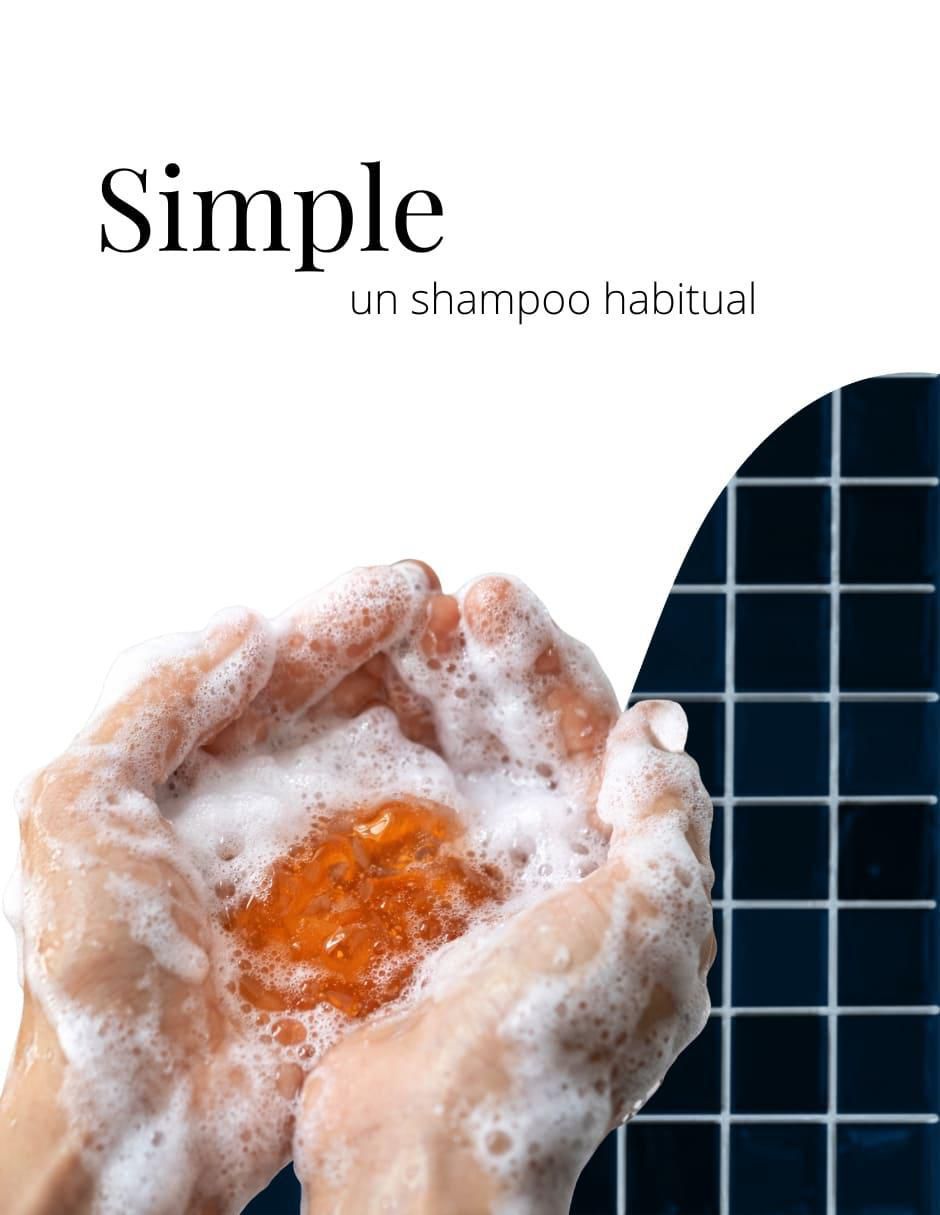Shampoo matizador de canas con tinte natural Dermafol 500 ml