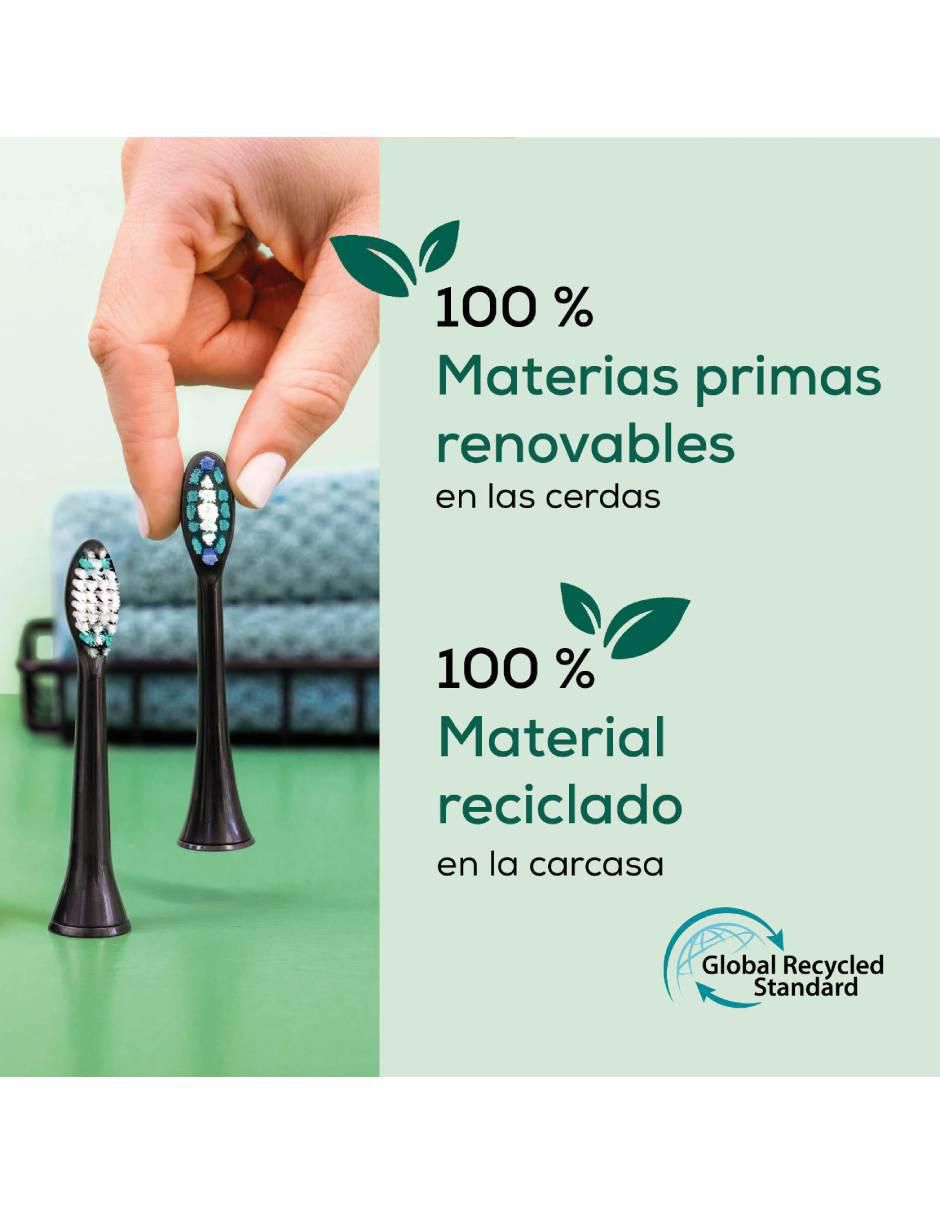 Set repuesto cepillo dental Screpera 5