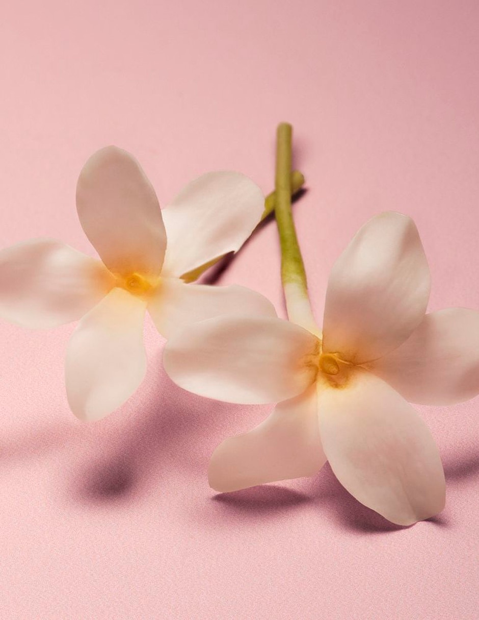 Eau de parfum para mujer Eau de parfum para mujer