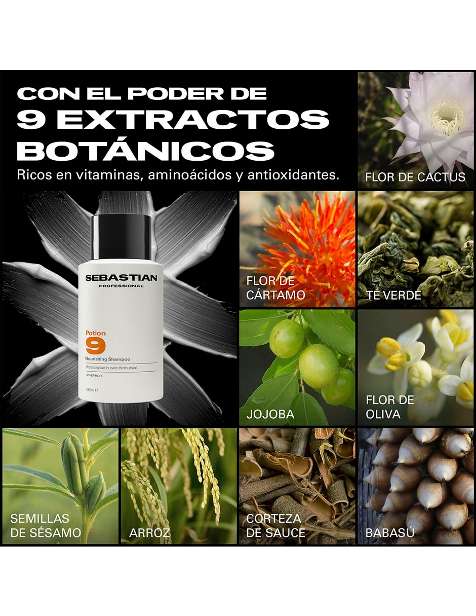 Shampoo reparador professional potion 9 280 ml 5