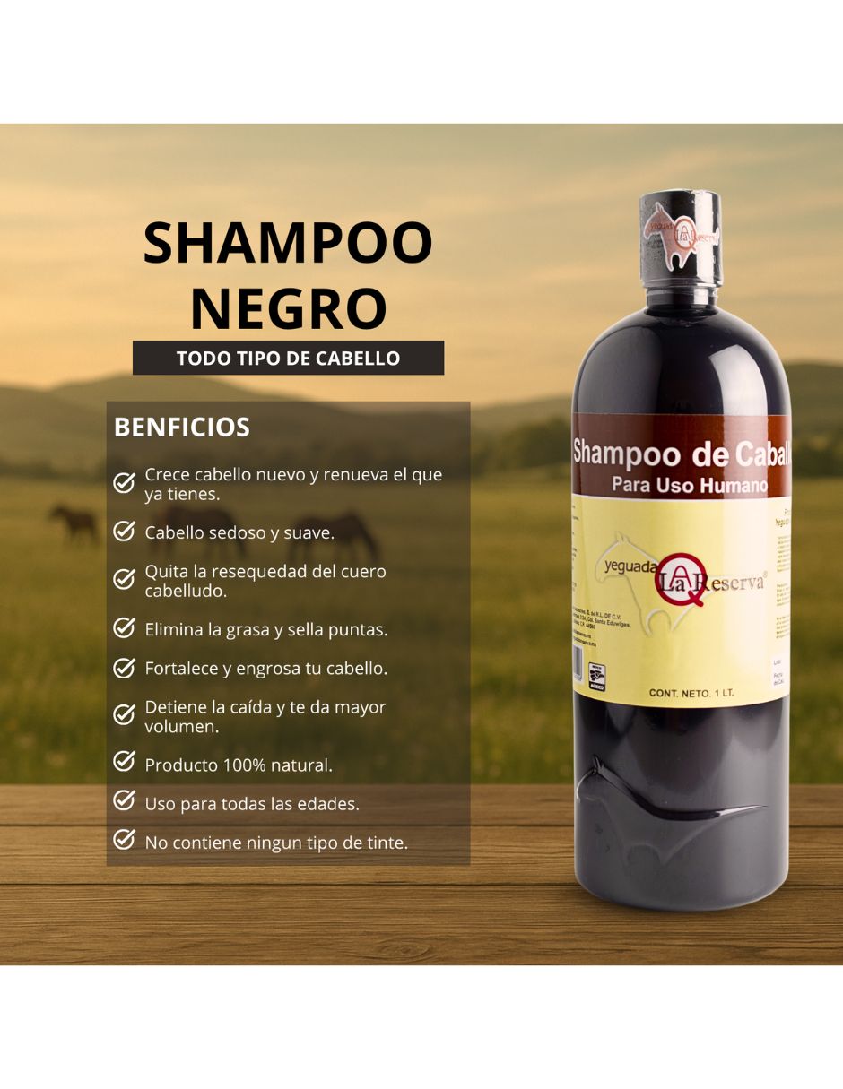 Set capilar Kit 2 Shampoo de Caballo Negro + 1 Colágeno Grande para Todo tipo 3 piezas 3
