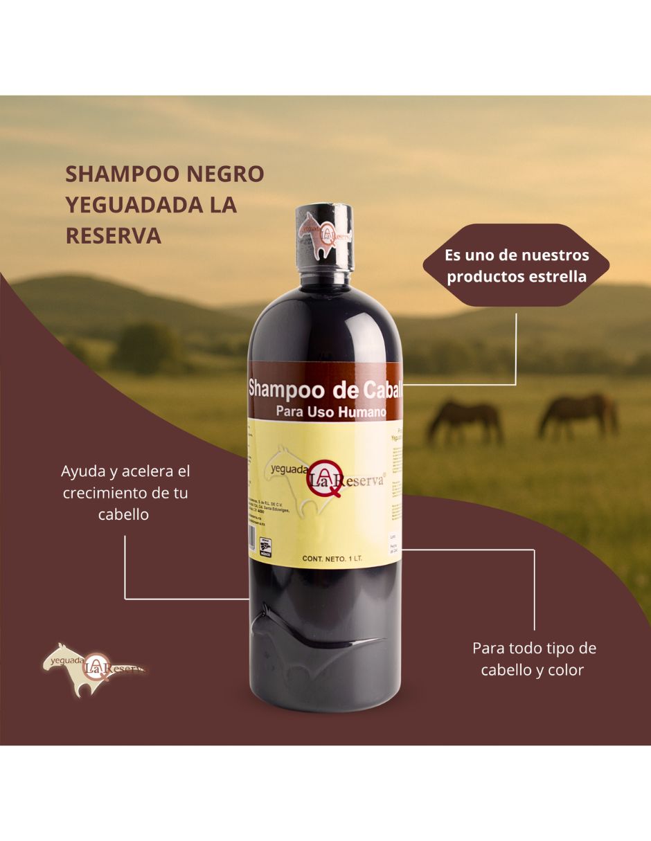 Set capilar Kit 2 Shampoo de Caballo Negro + 1 Colágeno Grande para Todo tipo 3 piezas 4