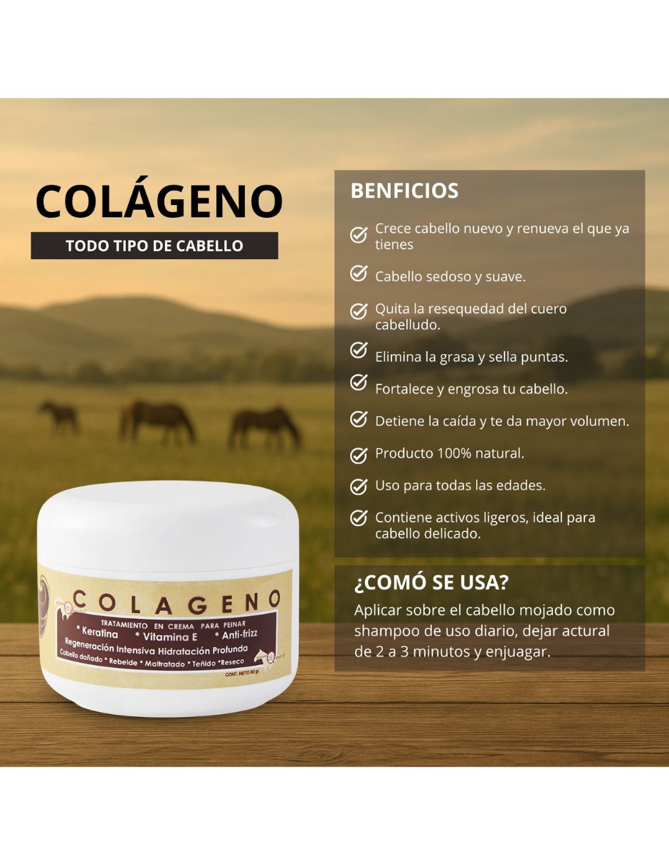 Set capilar Kit 2 Shampoo de Caballo Negro + 1 Colágeno Grande para Todo tipo 3 piezas 7