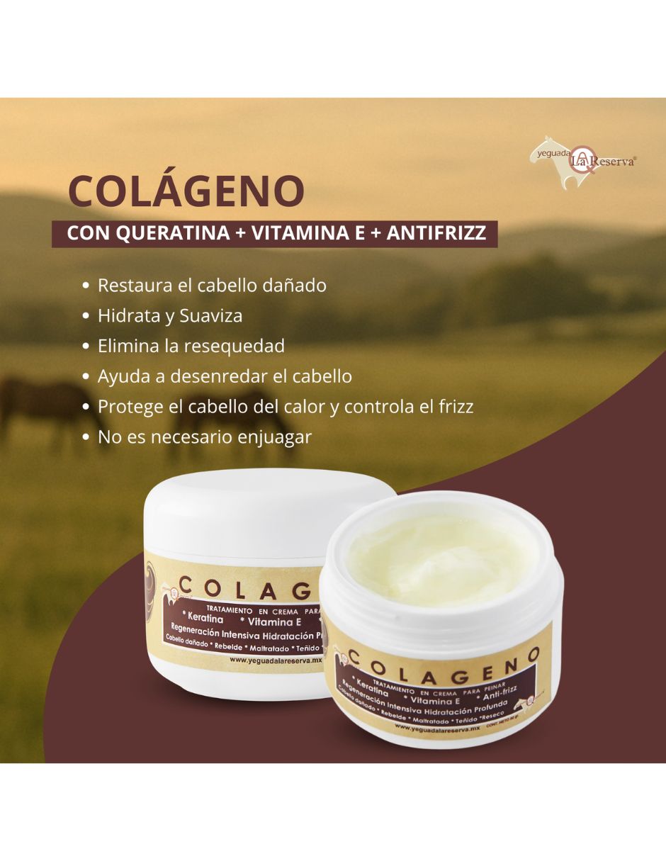 Set capilar Kit 2 Shampoo de Caballo Negro + 1 Colágeno Grande para Todo tipo 3 piezas 8